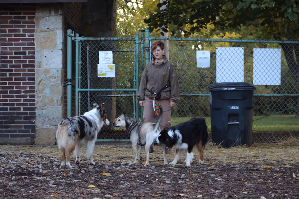 Deeds Point Dog Park photo 1